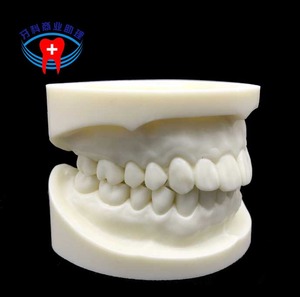 IP0003  치과 치아 이빨 이 석고 모형