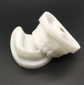 IP0018  치과 치아 이빨 이 잇몸 충치 모형